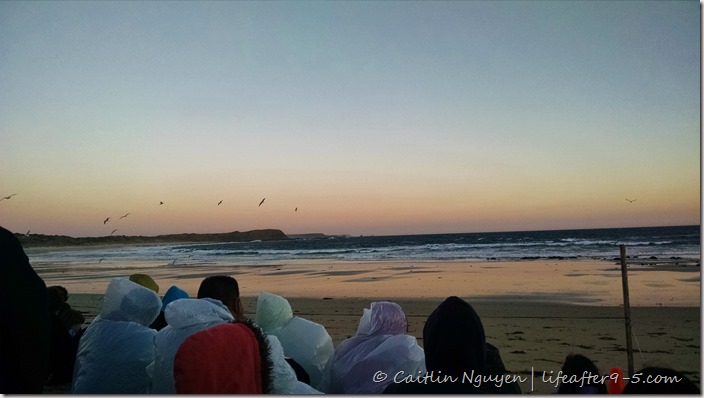 IMG_20141212_203536866