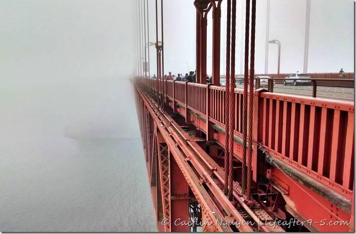 IMG_20130908_123840227_HDR