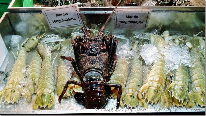 IMG_20151116_185018000_TOP