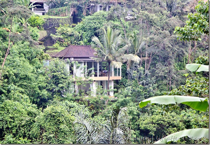 Jungle View Villa Ubud