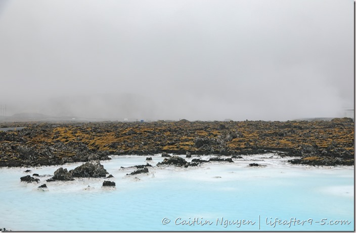 Icy blue water of Blue Lagoon contrasting against mossy lava field